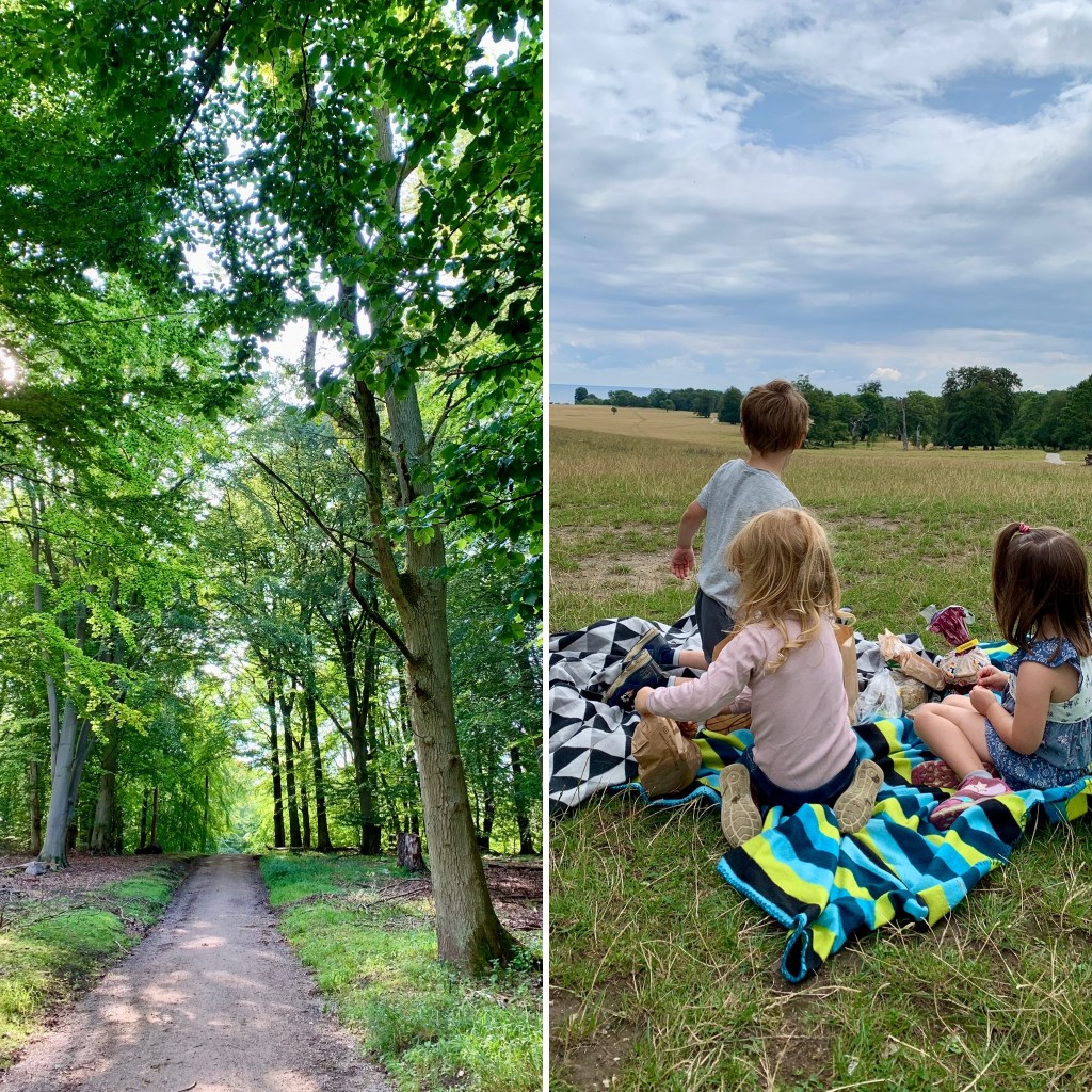 Deer, Gravel Paths, Snails And A Picnic&nbsp;Blanket
