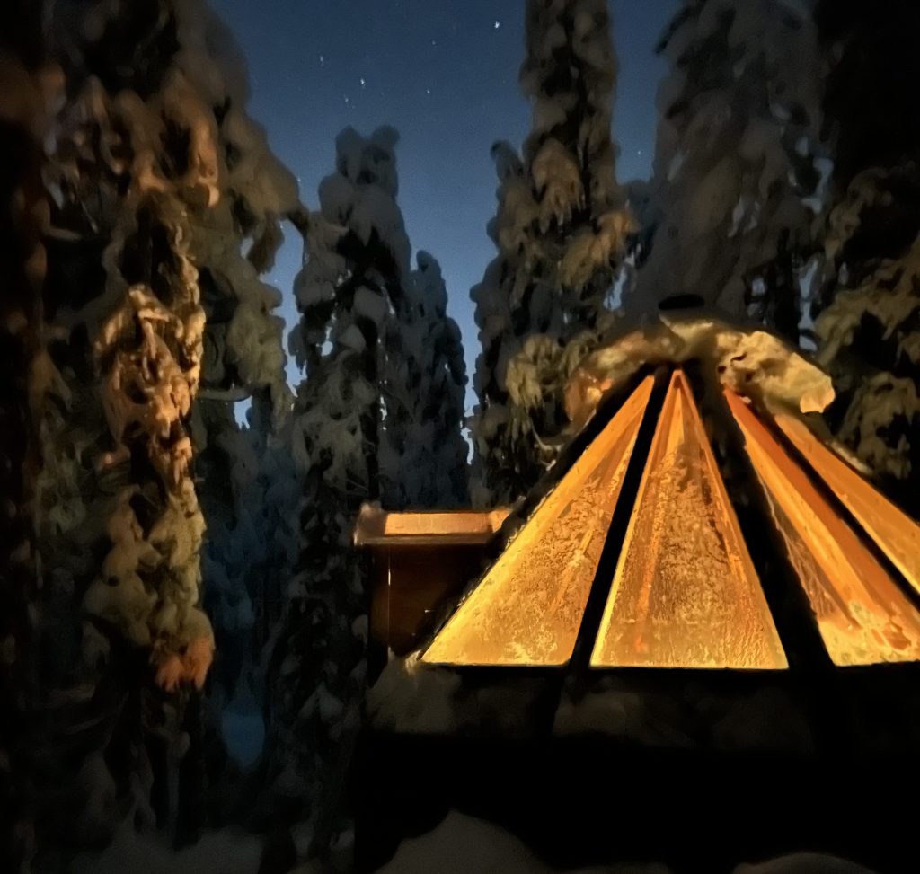 Winter Nights In The&nbsp;Forest