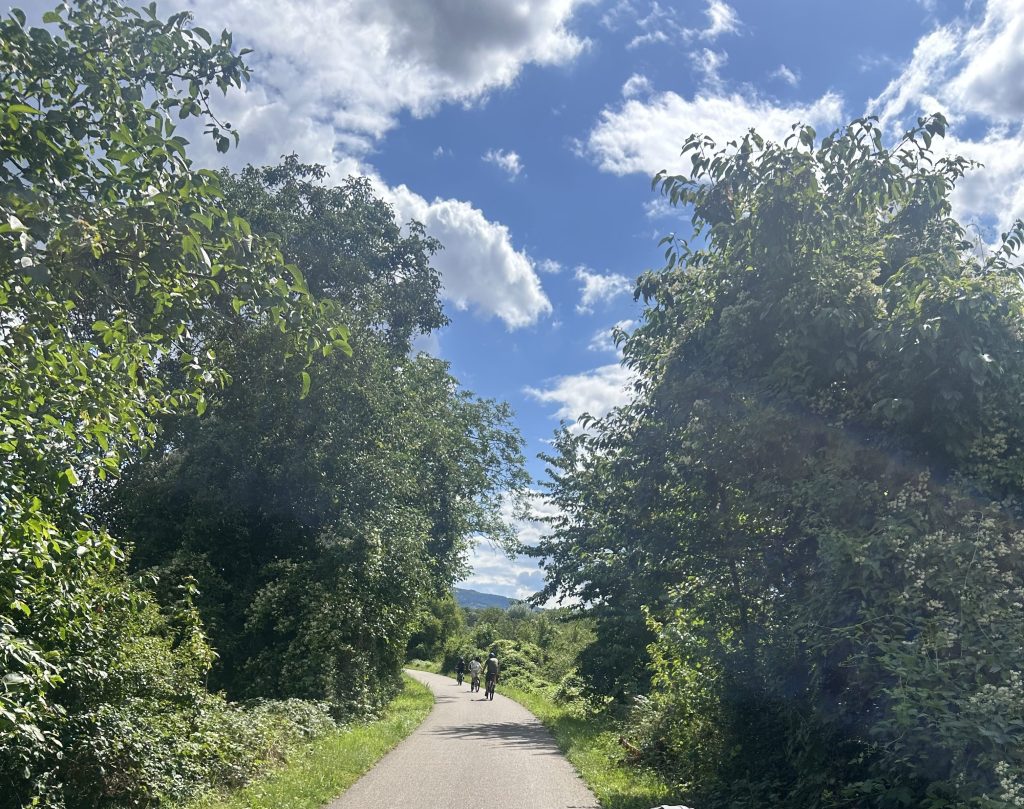 Sunflowers, Piglets, And Small Town&nbsp;Treats