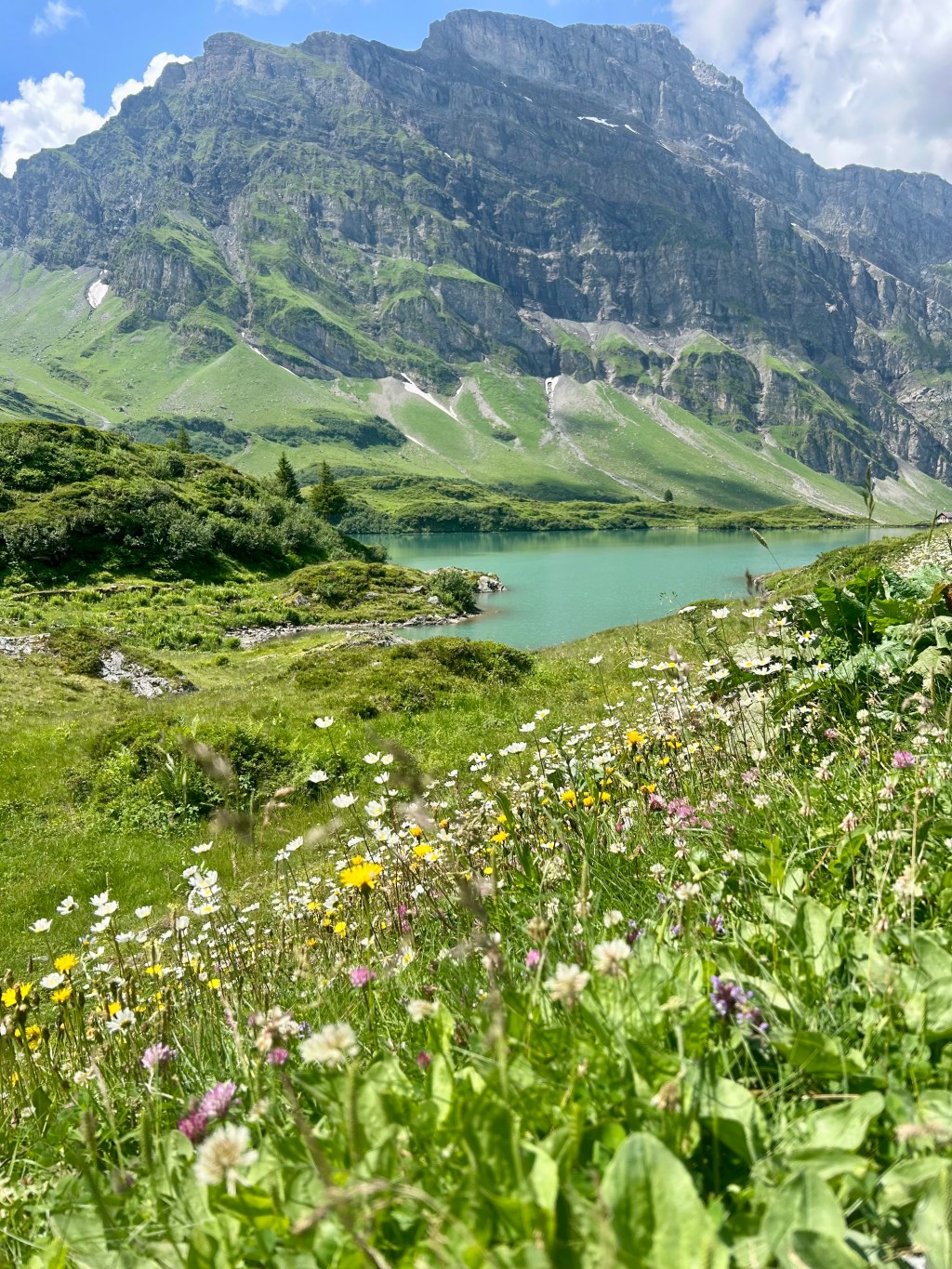 Summer In Engelberg