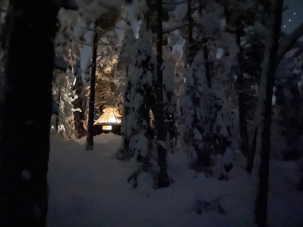 Glass-roof lavvu lit from within, standing among snow-covered trees in a winter forest at night.