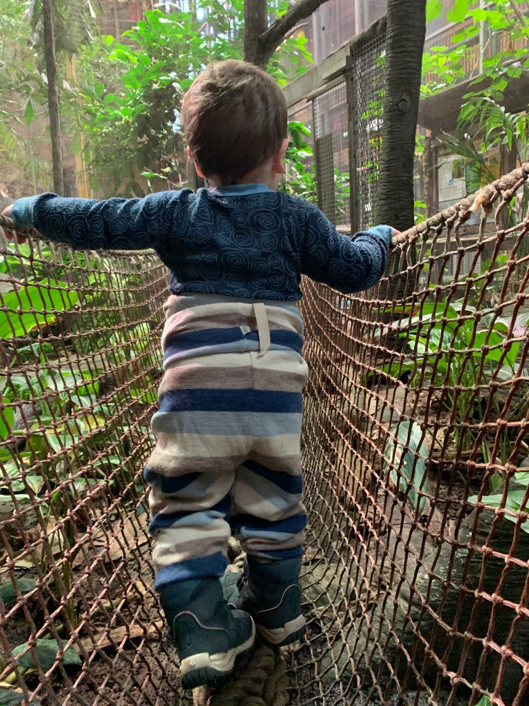Child crossing a rope bridge in an indoor rainforest