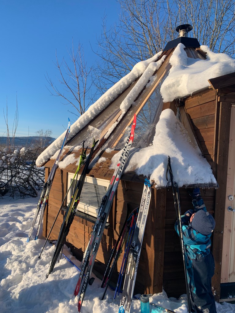Cross-country skis leaning against a wooden cabin in snowy Norwegian landscape