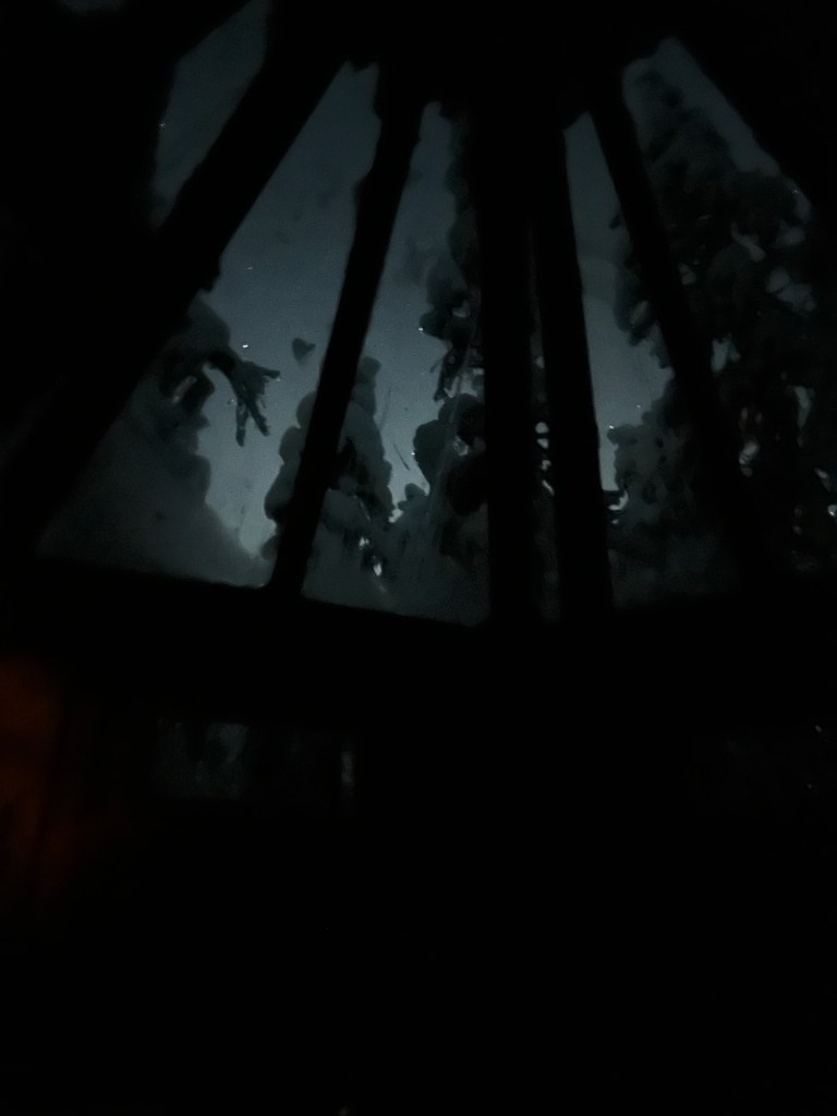 View upward through the glass roof of a lavvu, showing dark tree branches and a night sky beyond.